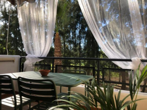 Cigüeñas